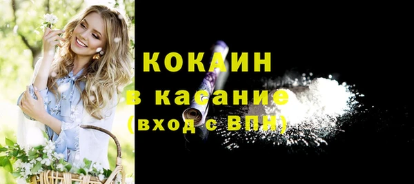 эйфоретик Пересвет