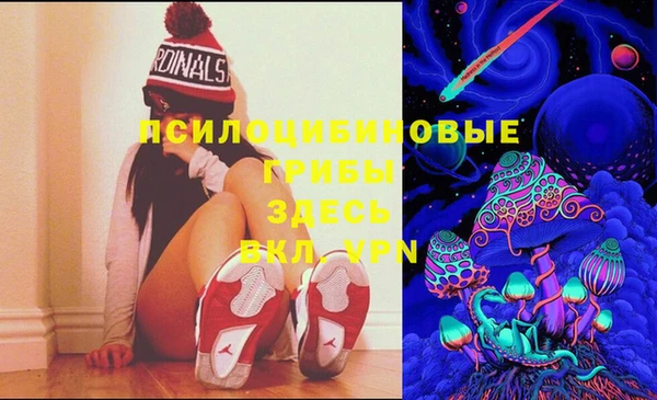 винт Пестово