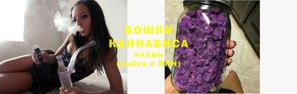 винт Пестово