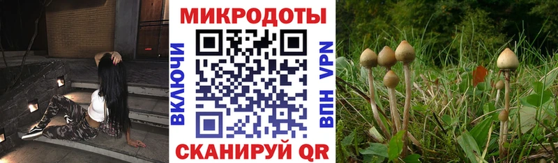 Купить закладки  Нерюнгри  Галлюциногенные грибы ЛСД 